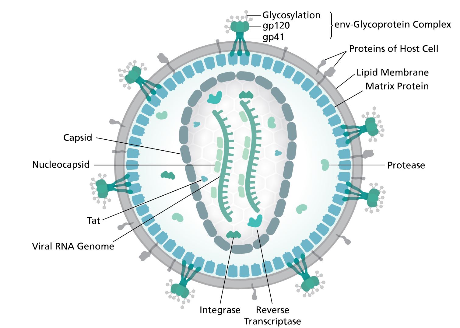 hiv life insurance