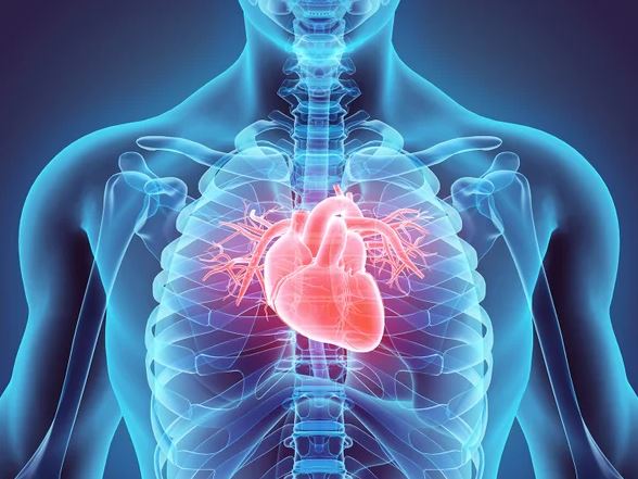 Heart Attack Stents Private Healthcare